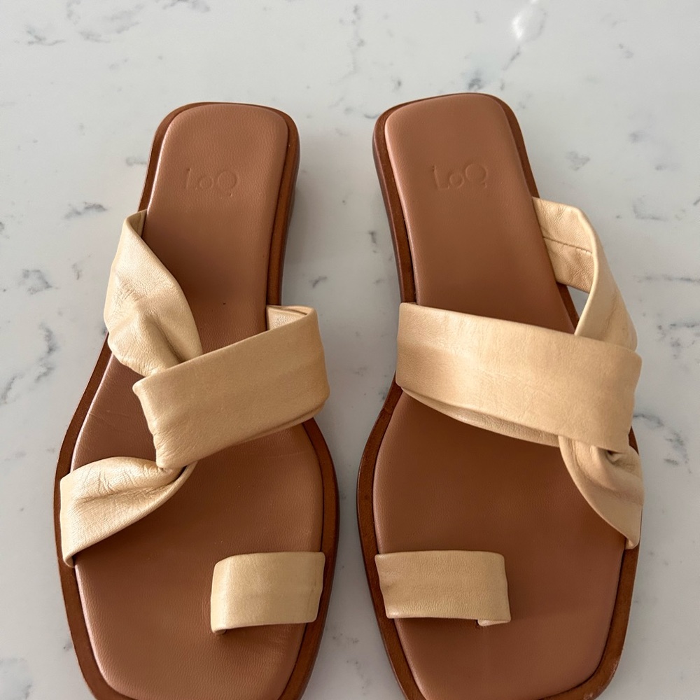 LOQ Slides